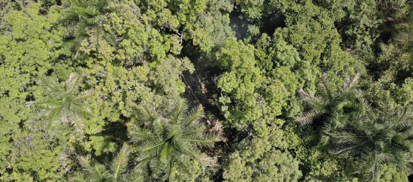 Naturaleza y agricultura